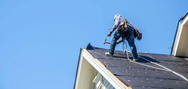 Best Shingle Roofing Installation  in Monroe, MI